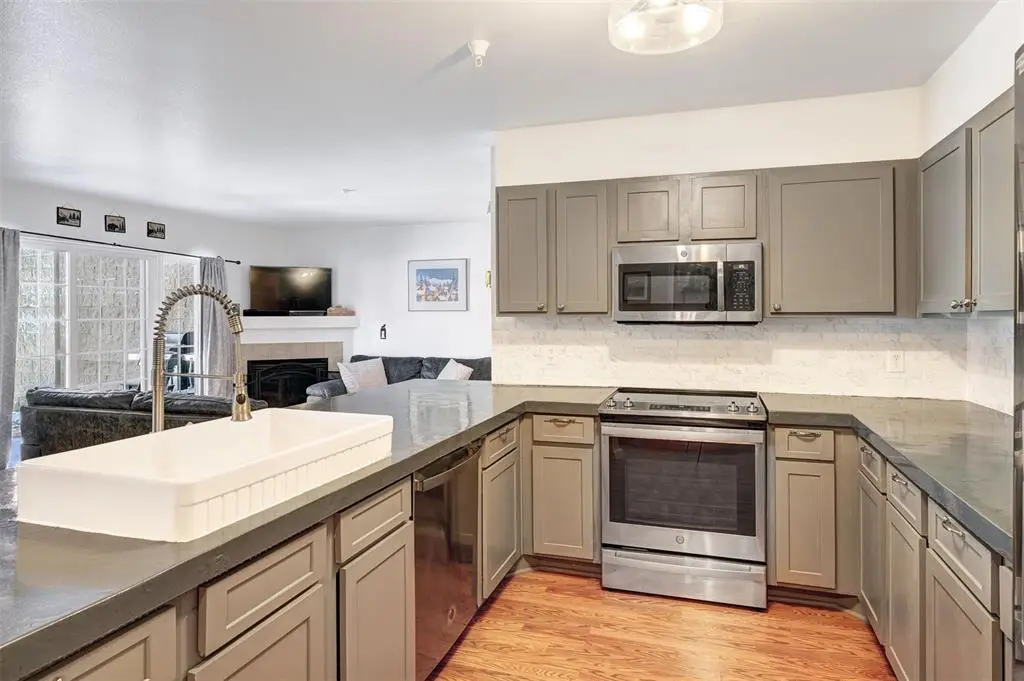 233 Pelican Circle #1509, Breckenridge, CO 80424 - #1