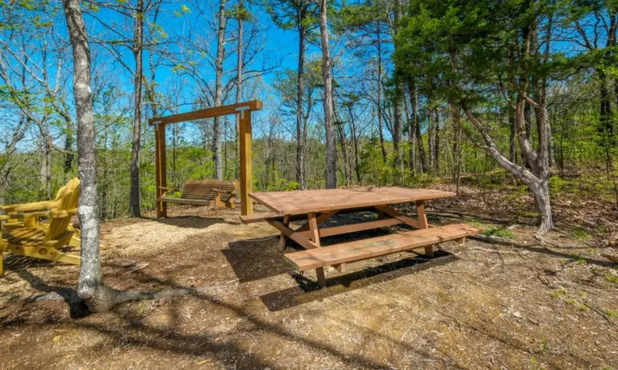 623 Iron Mountain Rd, Pigeon Forge, TN 37863 - #3