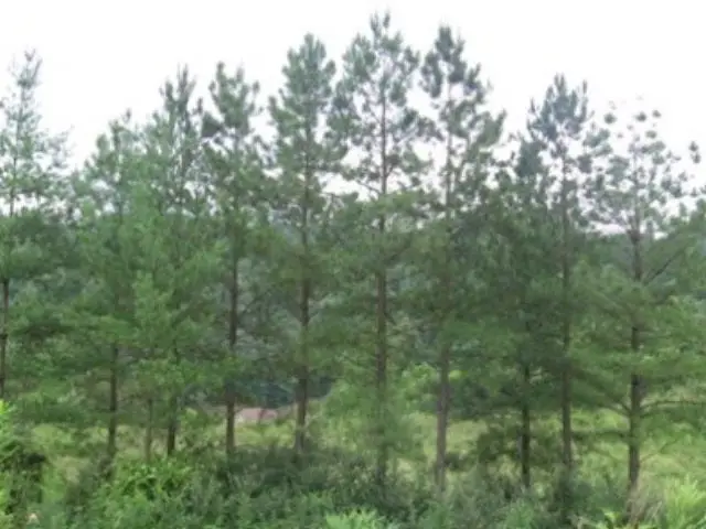 1 Cedar Creek Phase 7, Pikeville, KY 41501 - Image #1