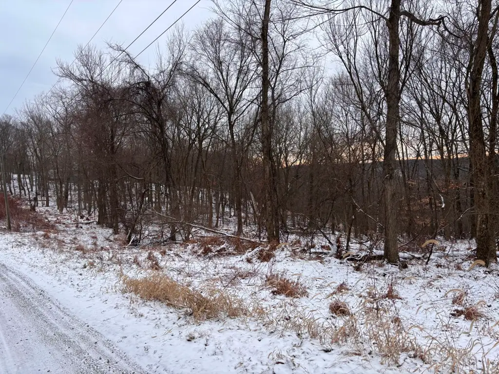 3 Acres Oak Dr, New Cumberland, WV 26047 - Image #1