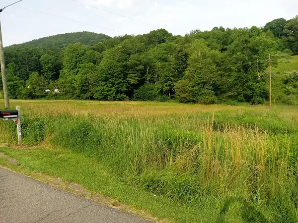 3323 Rugby Road, Mouth of Wilson, VA 24363