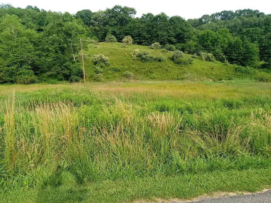 3323 Rugby Road, Mouth Of Wilson, VA 24363 - Image #3