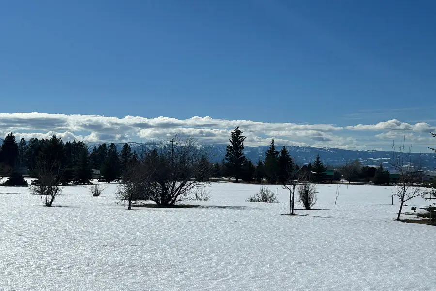 130 Creekside Road, Alta, WY 83414 - #2