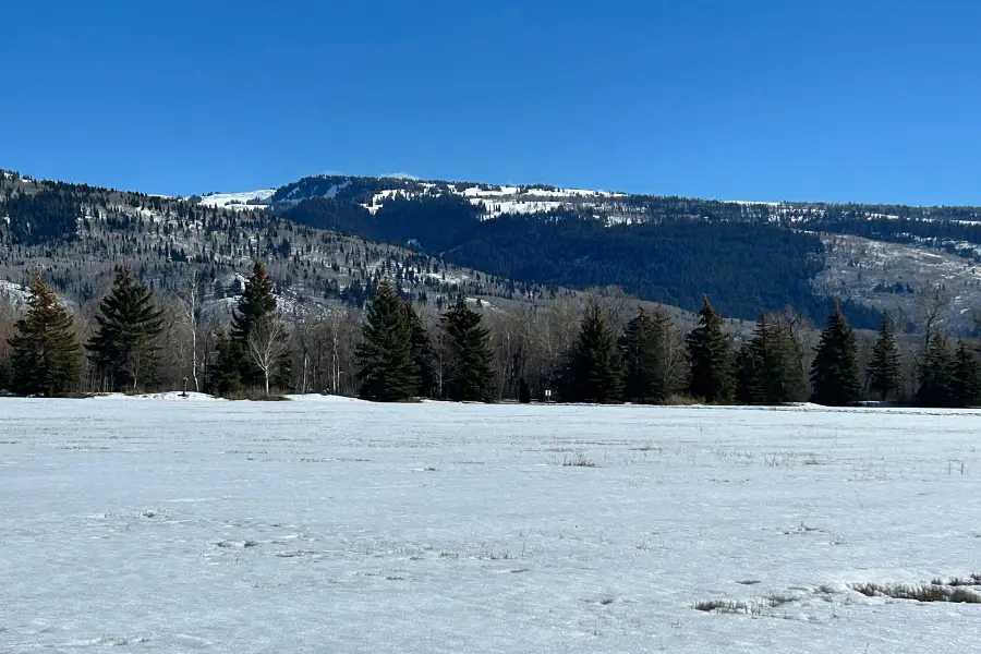 130 Creekside Road, Alta, WY 83414 - #3