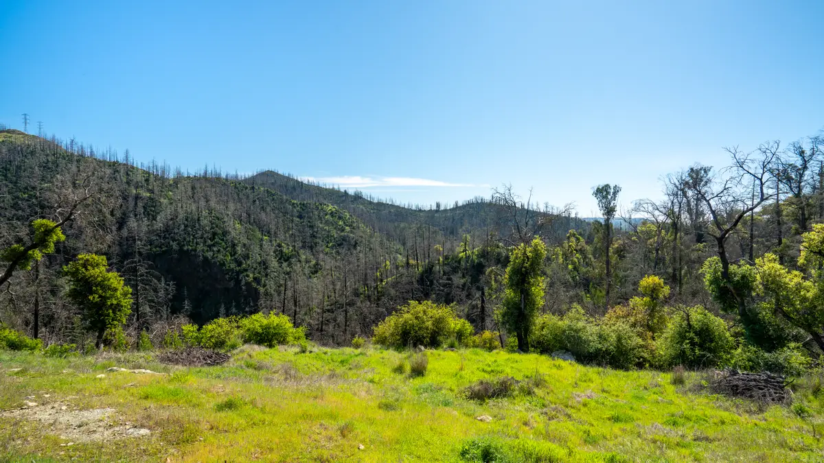 1470 Los Alamos Road, Santa Rosa, CA 95409 - #1