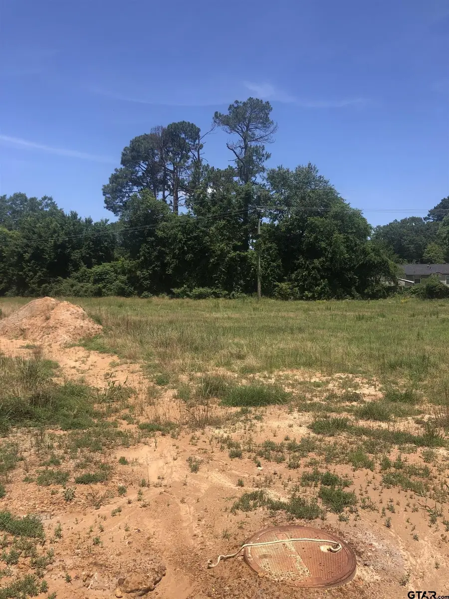 TBD Meadow Lane, Naples, TX 75568 - Image #2