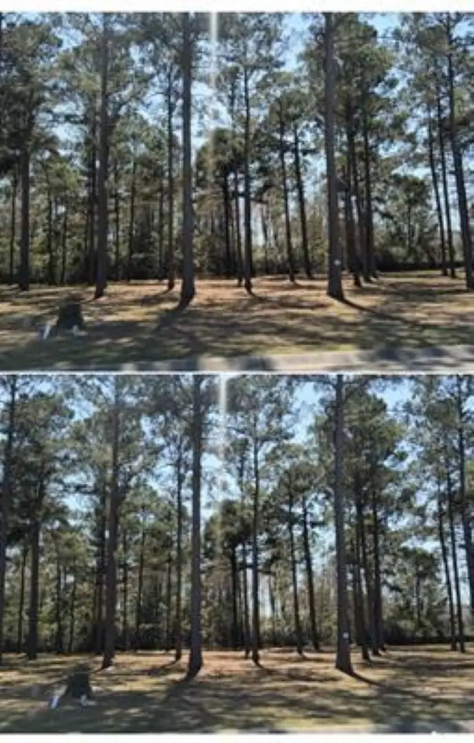 1152 Fiddlehead Way, Myrtle Beach, SC 29579 - #1