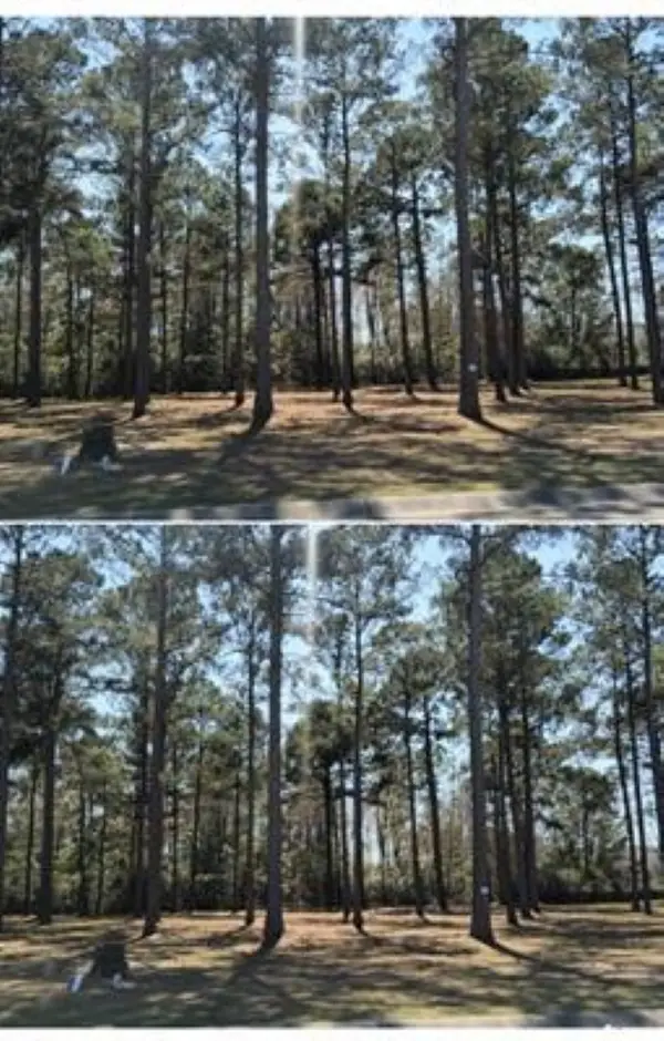 1152 Fiddlehead Way, Myrtle Beach, SC 29579