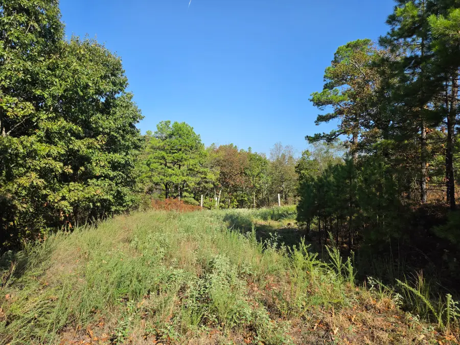 457 Polk Road 412, Mena, AR 71953 - #2