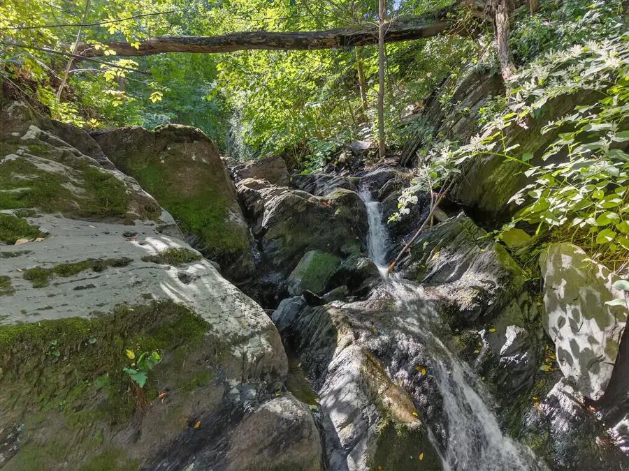 331 Mountain Lodge Road, Blooming Grove, NY 10914 - Image #3