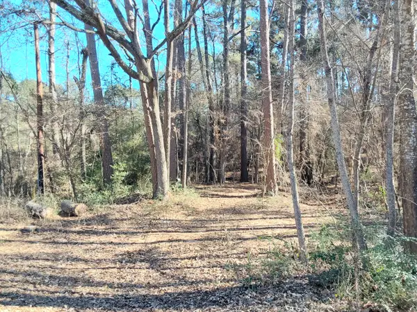 TBD SH 149, Tatum, TX 75691