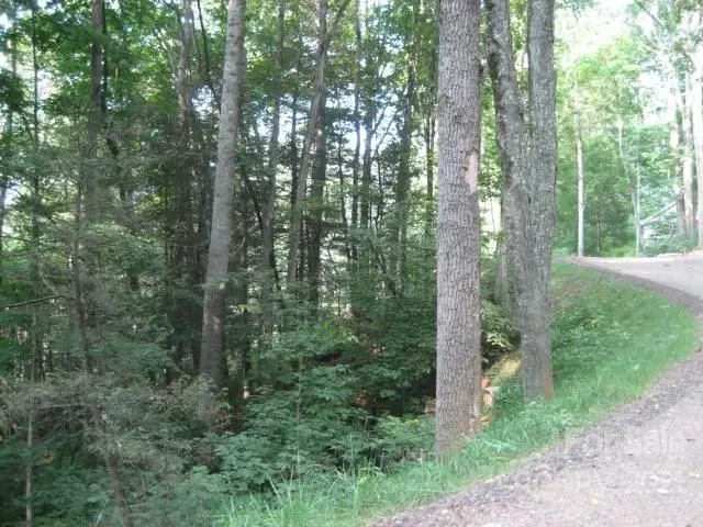 18 Sleeping Bear Ridge #18, Maggie Valley, NC 28751 - Image #2