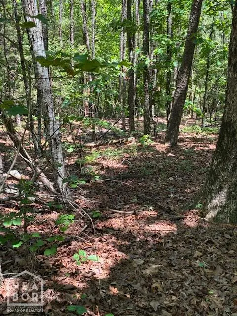 12 Castano (lot 12) Lane, Hot Springs Vil, AR 71909