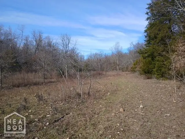 2 E Wirth Rd #Tract, Ravenden, AR 72459 - #2