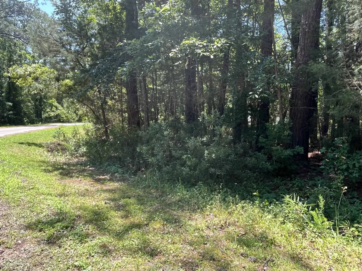 605 Peterson Place, Oriental, NC 28571 - #1