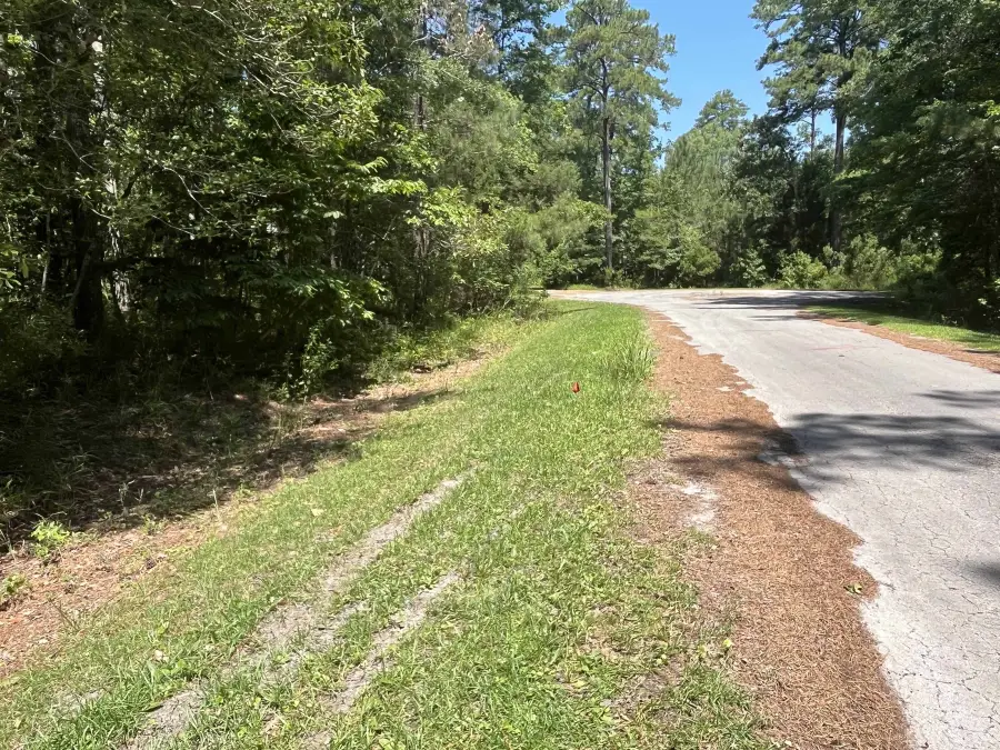 605 Peterson Place, Oriental, NC 28571 - #2