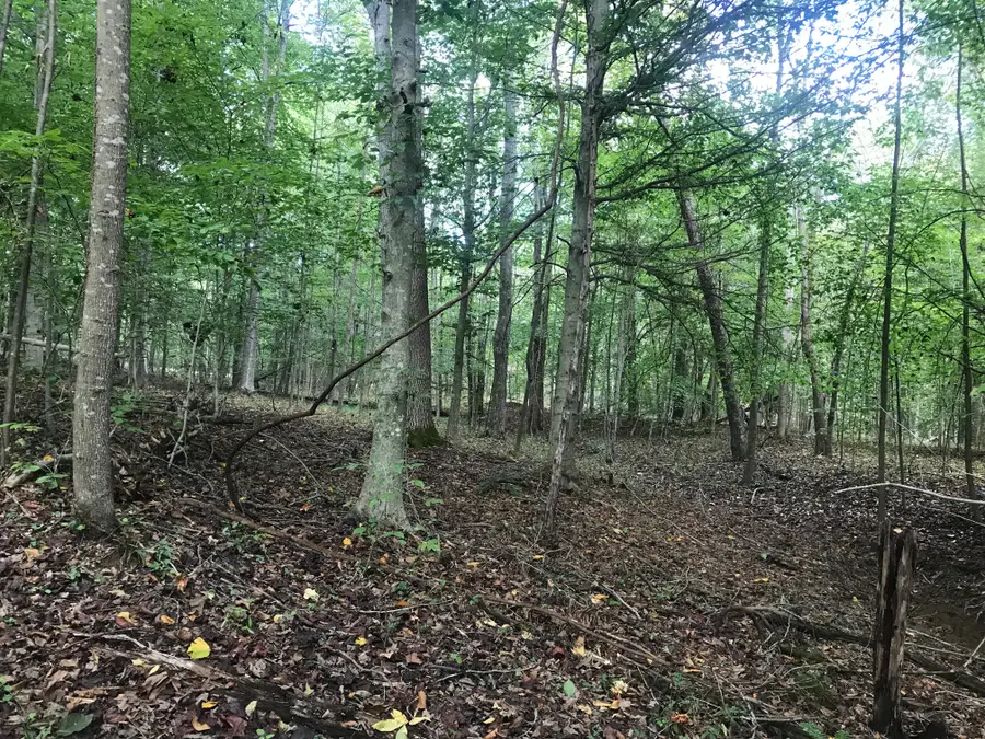 0 Farmhouse Trail #91.2 Acres Land, Morehead, KY 40351 - Image #3