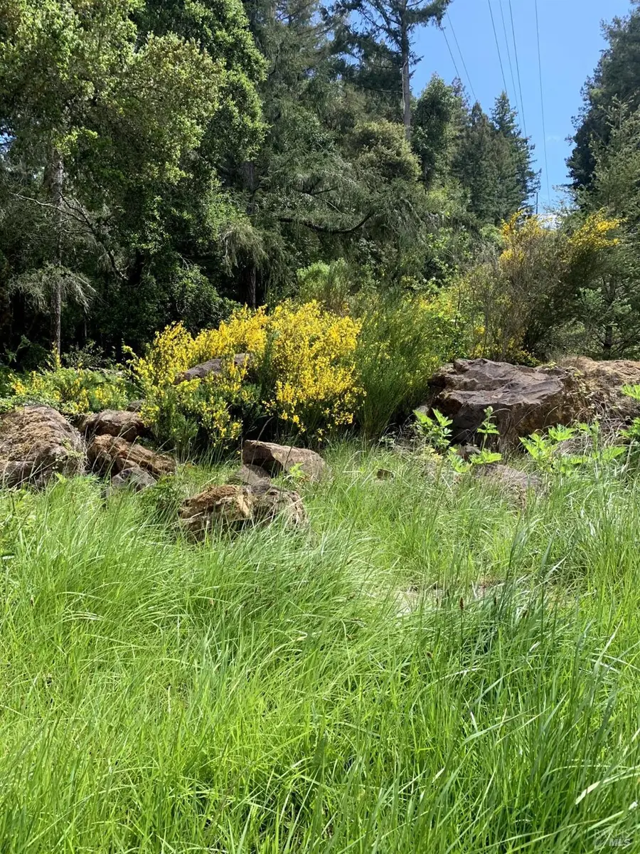 1 Meadow View Lane, San Geronimo, CA 94963 - Image #3