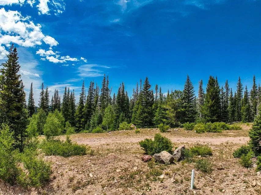 319 N Highland Dr #57, Brian Head, UT 84719 - Image #2