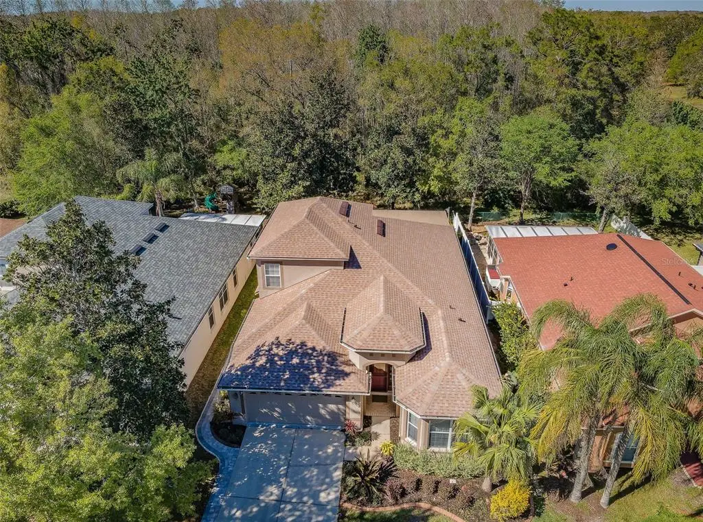 15925 Pond Rush Court, Land O Lakes, FL 34638 - Image #1