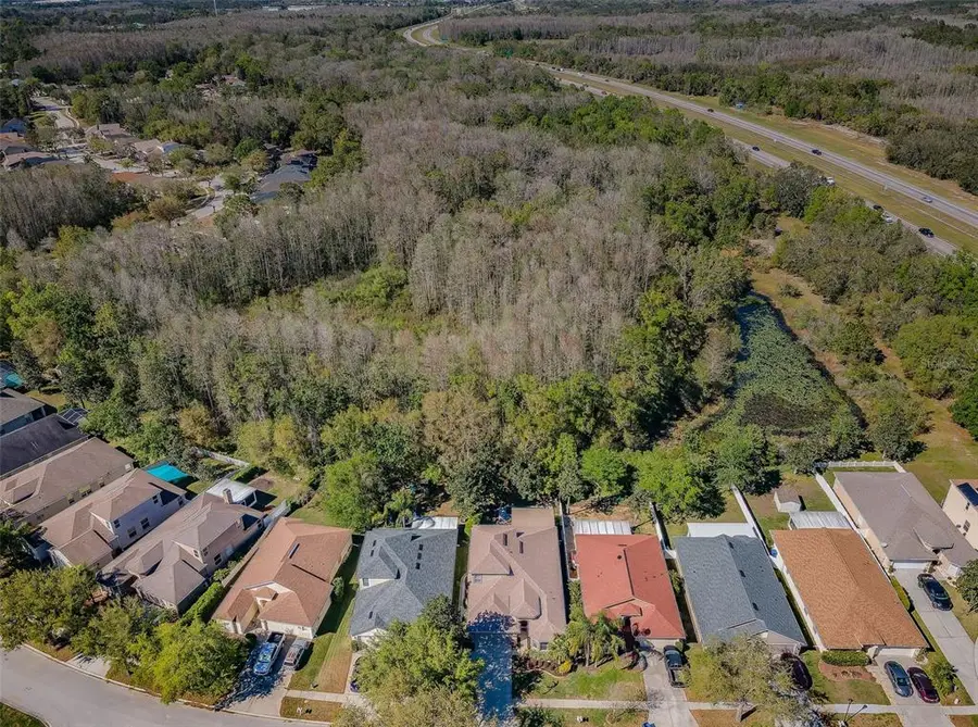 15925 Pond Rush Court, Land O Lakes, FL 34638 - Image #2