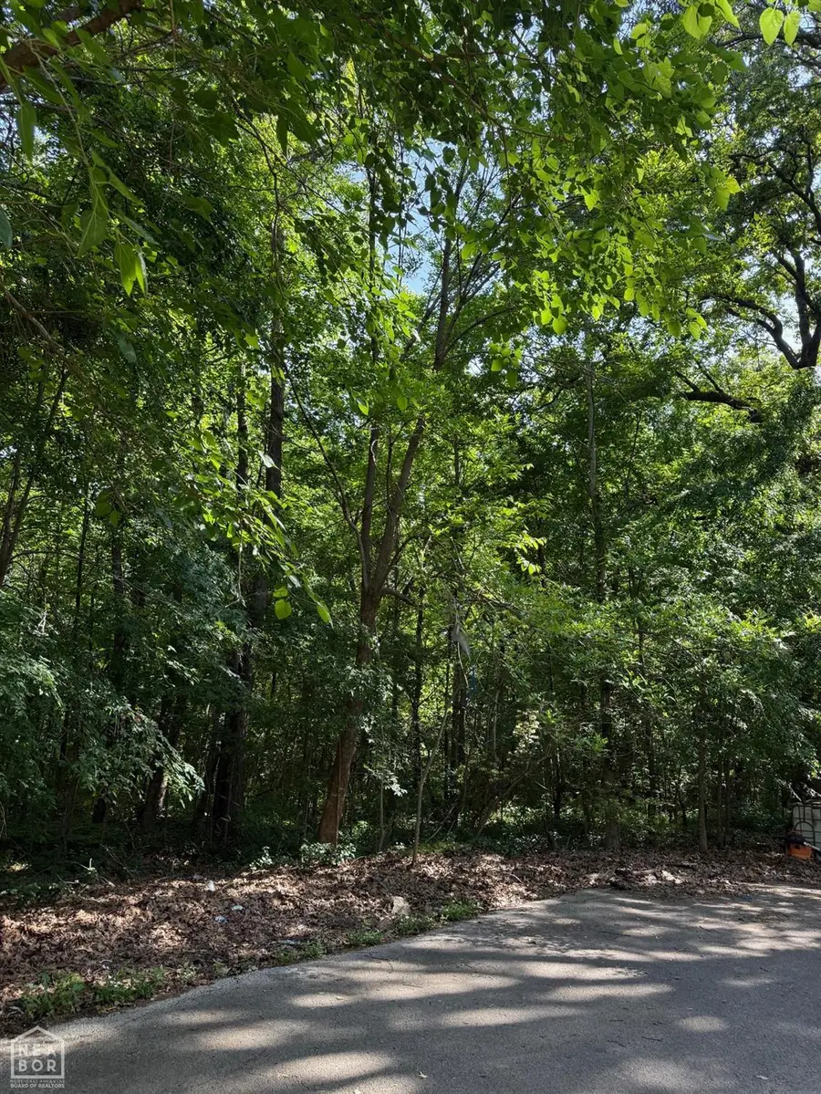 13 Darlene, Jonesboro, AR 72405 - Image #2