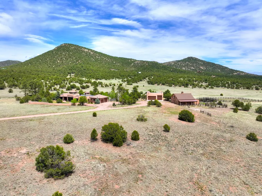 1328 Round Up Road, Westcliffe, CO 81252 - #2