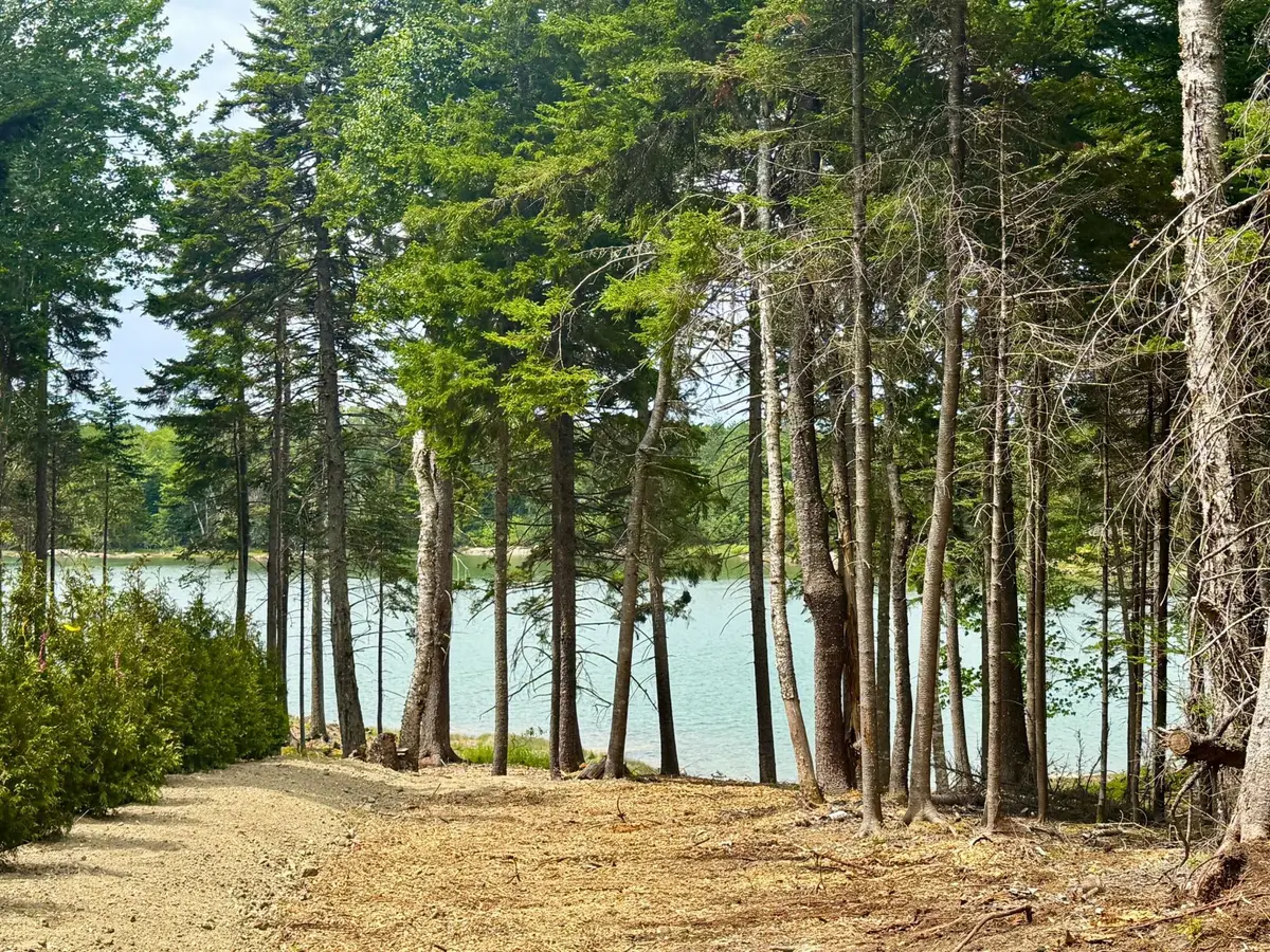 93 Goods Point Road #Lot 2, Steuben, ME 04680 - #1