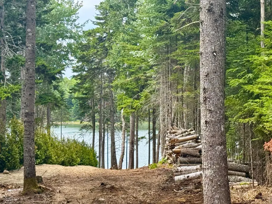 93 Goods Point Road #Lot 2, Steuben, ME 04680 - #2