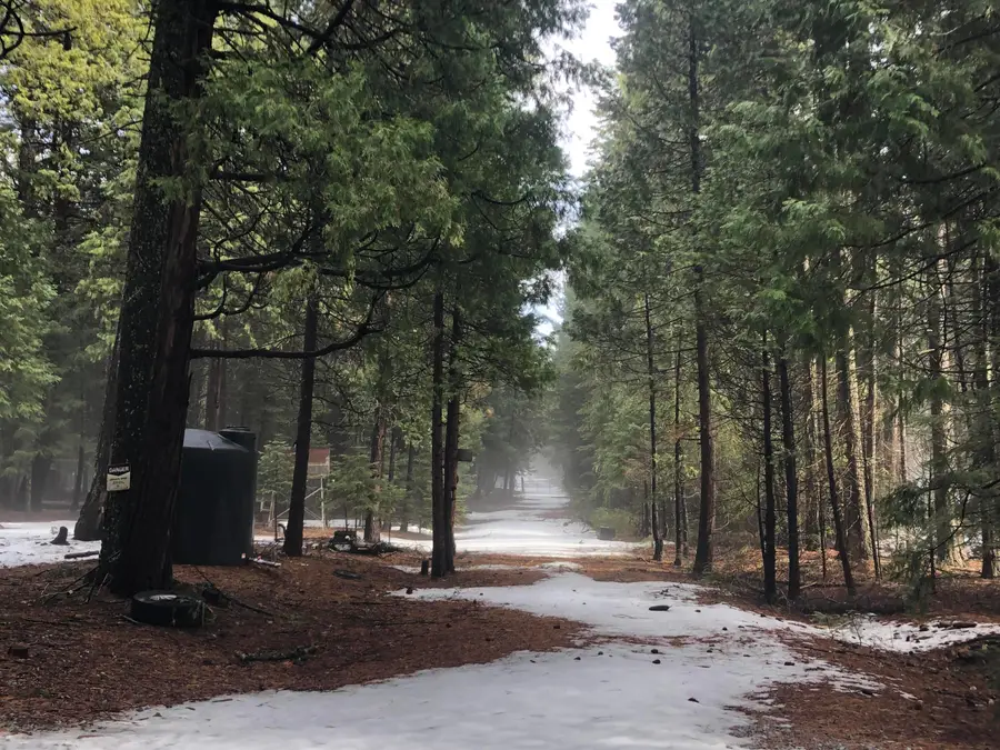 5.19 Ac Side Bottom Road, Shingletown, CA 96088 - Image #3