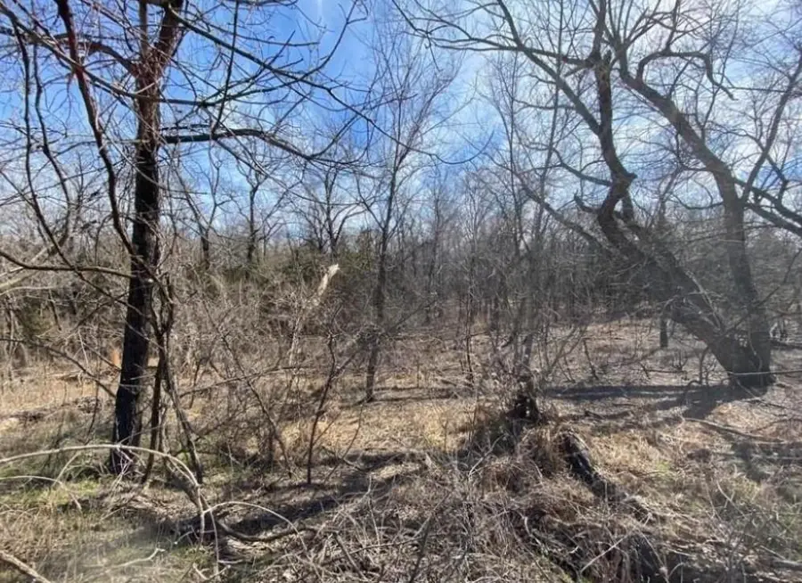 Lot 3 Post Oak Road, Noble, OK 73068 - Image #2