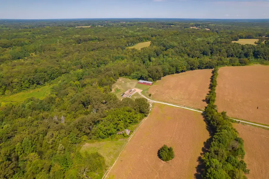 290 Leeford Ln, Cedar Grove, TN 38321 - Image #3