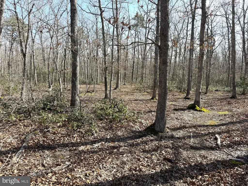 0 Birchwood Drive, Tuckerton, NJ 08087 - #1