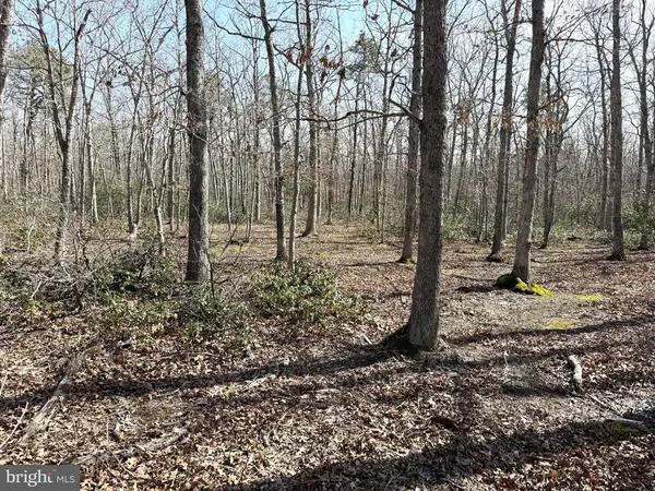 0 Birchwood Drive, Tuckerton, NJ 08087