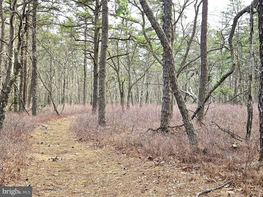 0 Birchwood Drive, Tuckerton, NJ 08087 - #3