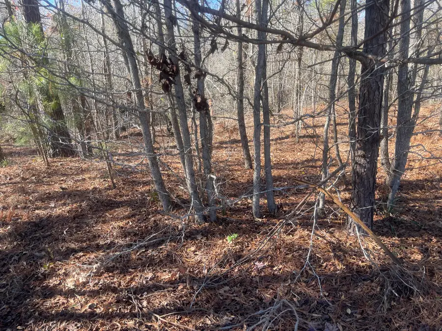 LOT 8 Black Pearl Drive, Warrenton, GA 30828 - Image #3