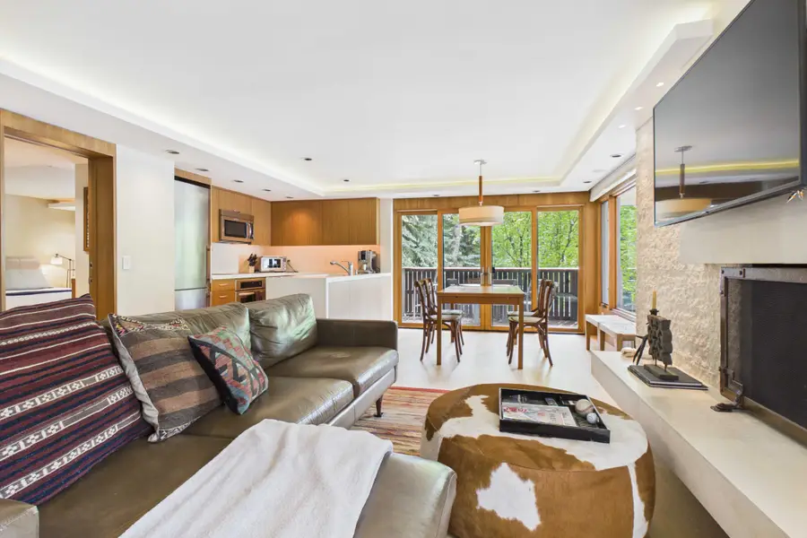 400 W Hopkins Avenue #6/7, Aspen, CO 81611 - #2