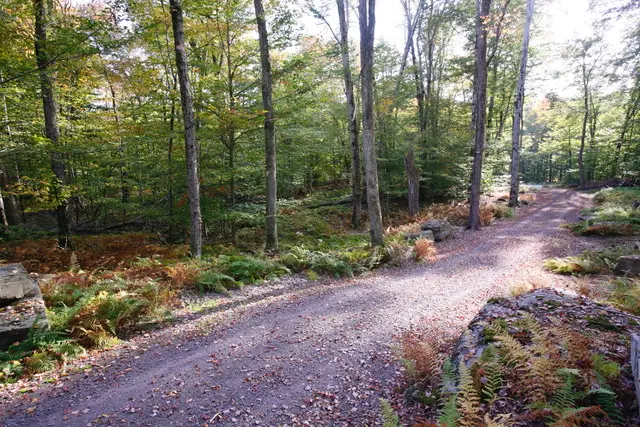 97 Homestead Trail, White Lake, NY 12786 - Image #3