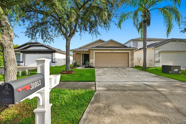 31053 Tagus Lp, Wesley Chapel, FL 33545