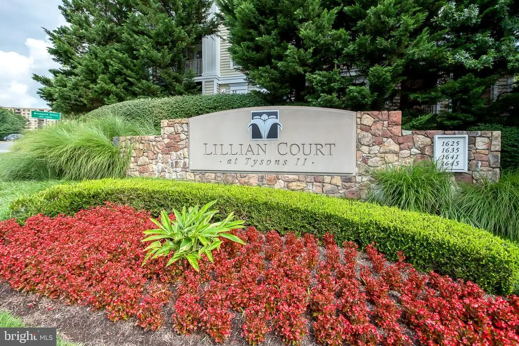 1645 International , 221, West McLean, VA 22102 - #1