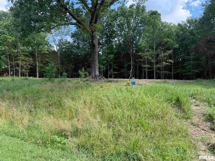 305 Pecan Point, Goreville, IL 62939 - #3