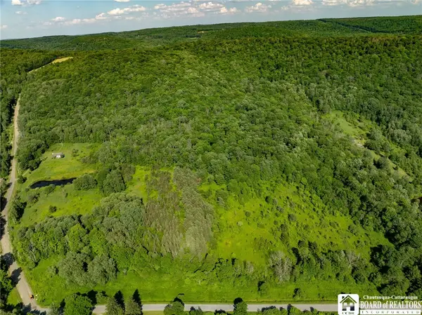 0 Morgan Hollow Road, Franklinville, NY 14737