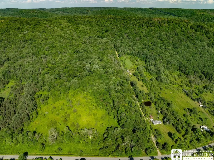 0 Morgan Hollow Road, Franklinville, NY 14737 - Image #2