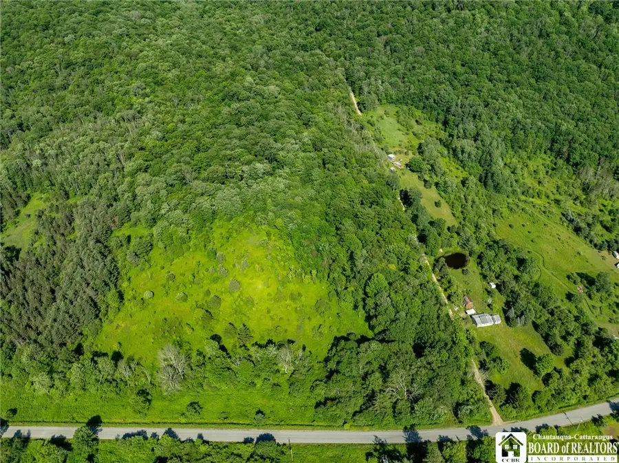 0 Morgan Hollow Road, Franklinville, NY 14737 - Image #3