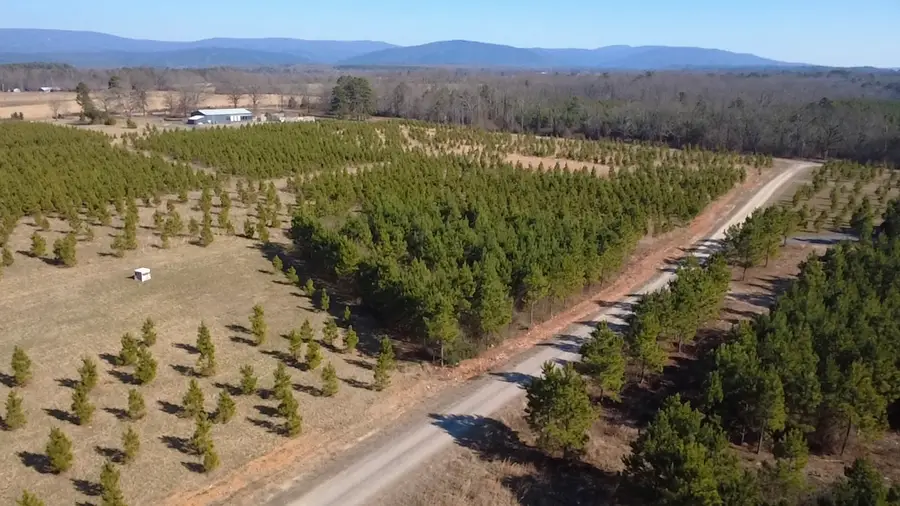 109 Serenity Lane, Mena, AR 71953 - #3