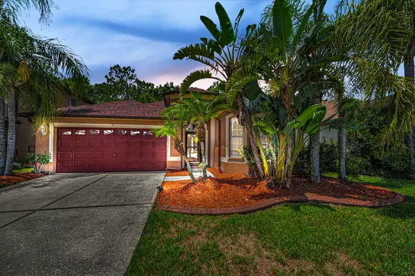 15762 Cedar Elm Terrace, LAND O LAKES, FL 34638