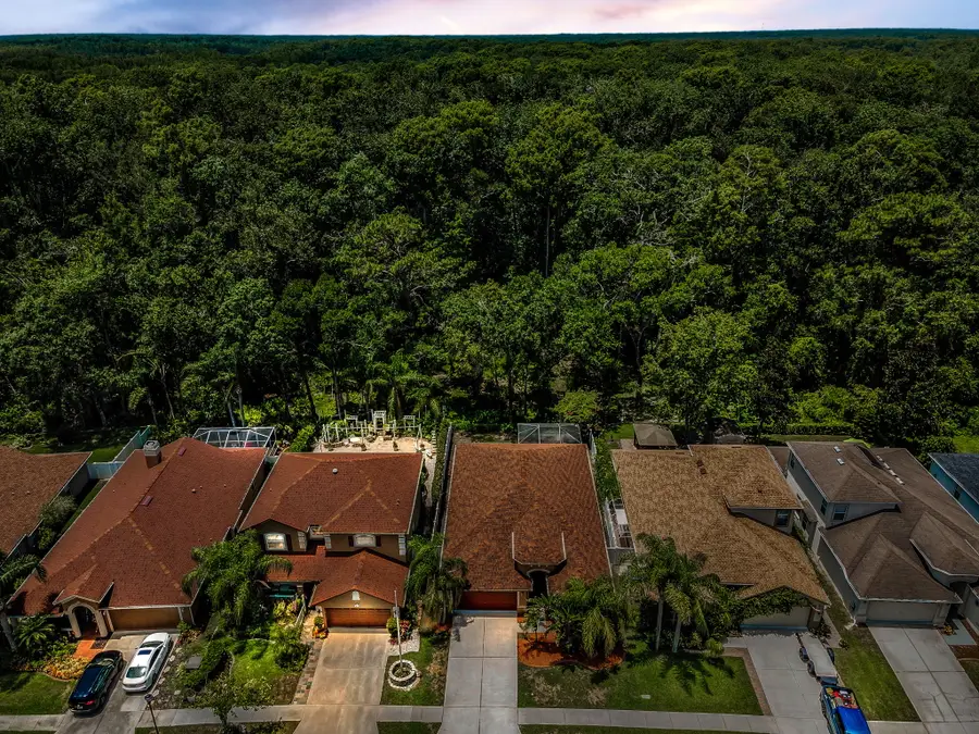 15762 Cedar Elm Terrace, Land O Lakes, FL 34638 - Image #2