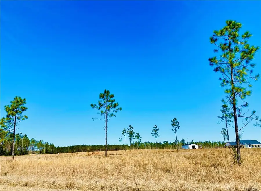 0 Camp Edgewood Road, Dequincy, LA 70633 - #2