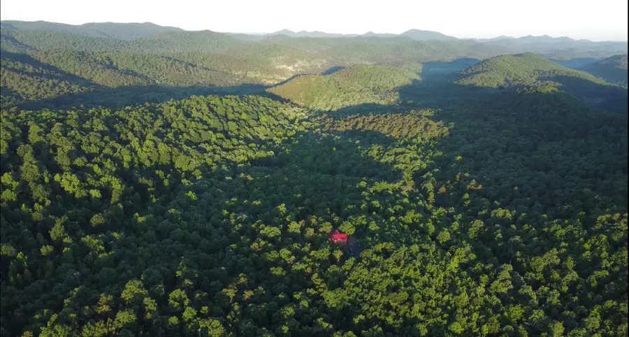 383A Massey Lane, Mena, AR 71953 - Image #2