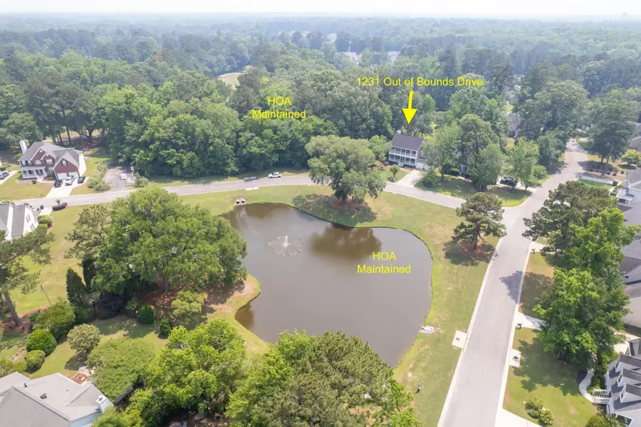1231 Out Of Bounds Drive, Summerville, SC 29485 - #3